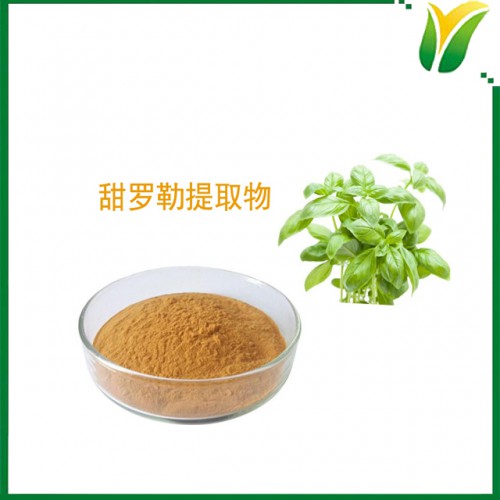 甜罗勒提取物 甜罗勒水提物 植物提取物5:1