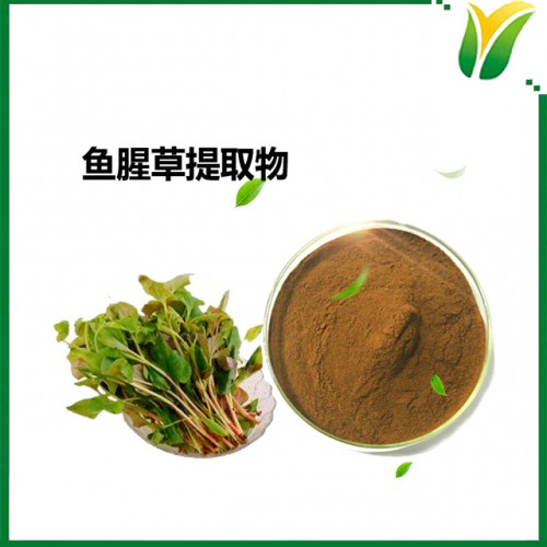 植物提取物 鱼腥草提取物5:1 折耳根提取物
