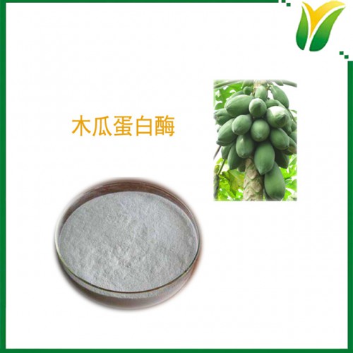 木瓜蛋白酶80万u/g 木瓜酶粉 植物提取物