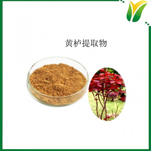 黄栌提取物10：1 植物提取物