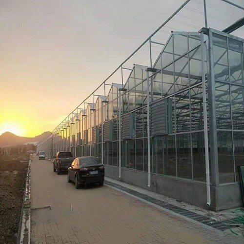 连栋玻璃温室大棚建设 玻璃温室厂家 温室配件现货供应