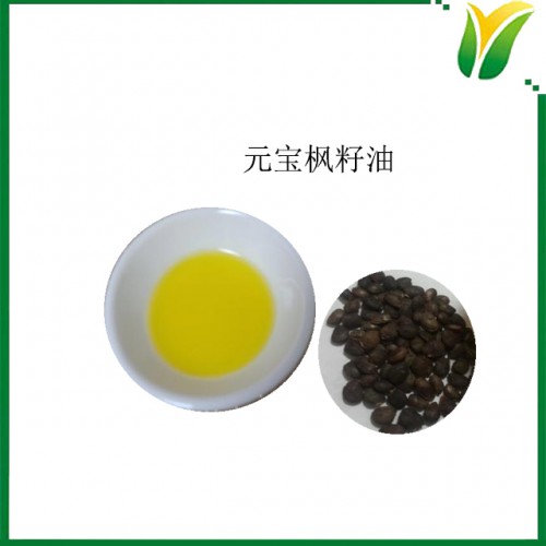 元宝枫籽油 6% 神经酸 元宝枫籽提取物