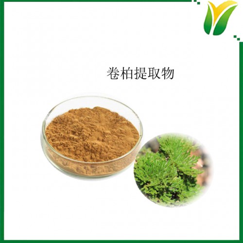 卷柏提取物10：1 九死还魂草提取粉