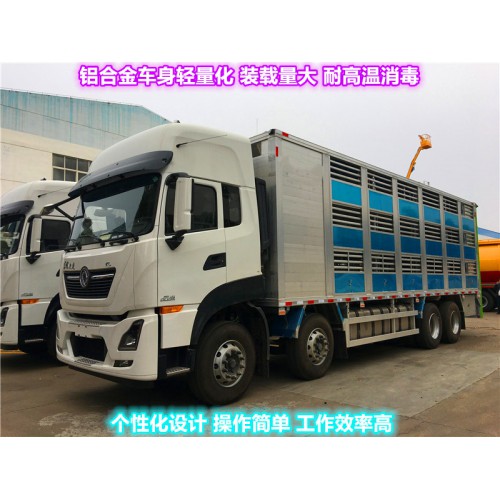 拉猪车 猪仔恒温运输车 雏禽运输车 鲜活畜禽运输车厂家直销