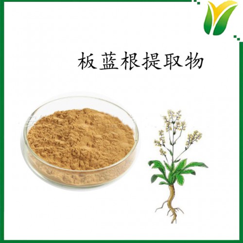 板蓝根提取物10：1 大青根提取物 植物提取物