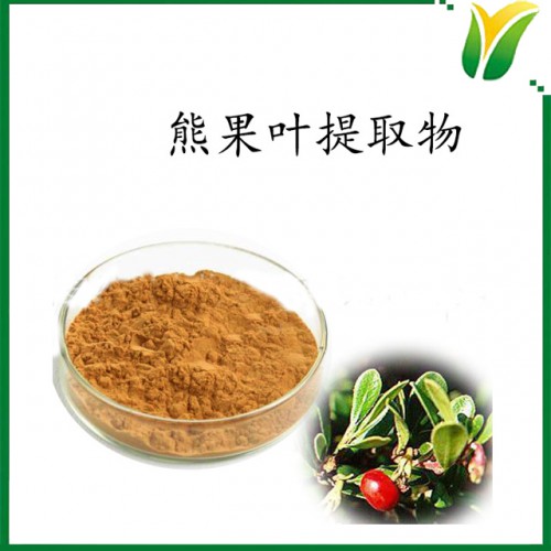 熊果叶提取物10：1 植物提取物