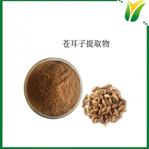 苍耳子提取物10:1 苍耳提取粉 植物提取物