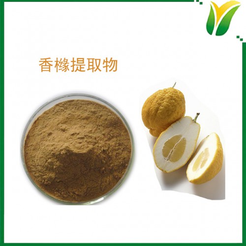 香橼提取物10:1 枸橼提取物 植物提取物