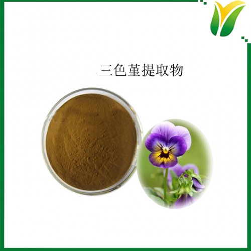 三色堇提取物5：1  植物提取物 提供加工