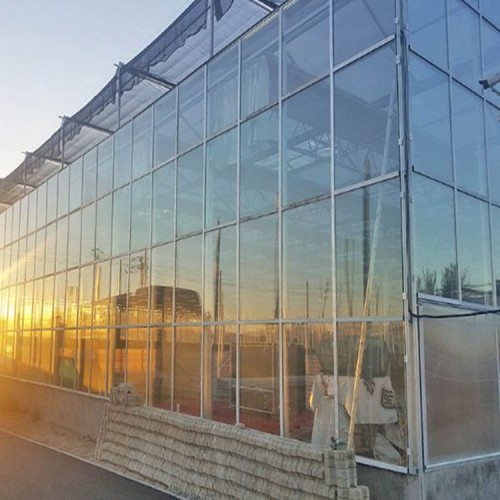 内蒙古阳光板温室造价 阳光板温室厂家 阳光板温室大棚