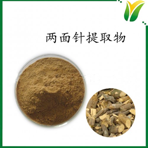 两面针提取物5：1 植物提取物
