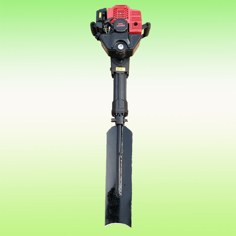 Summer beach concept