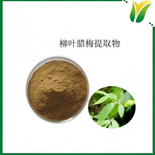 柳叶腊梅提取物10：1 秋蜡梅提取物 植物提取物