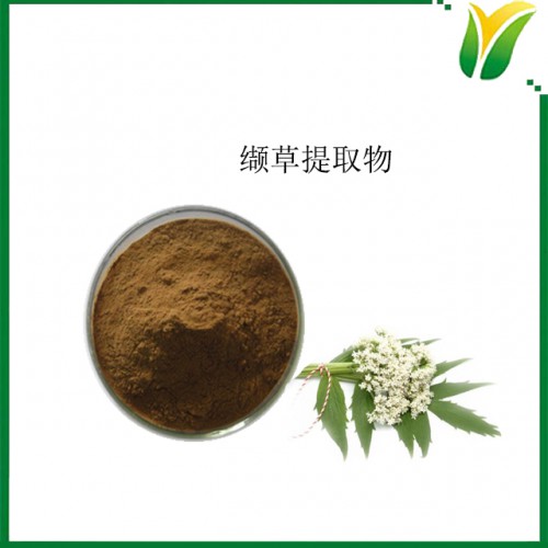 缬草提取物 10：1 植物提取物