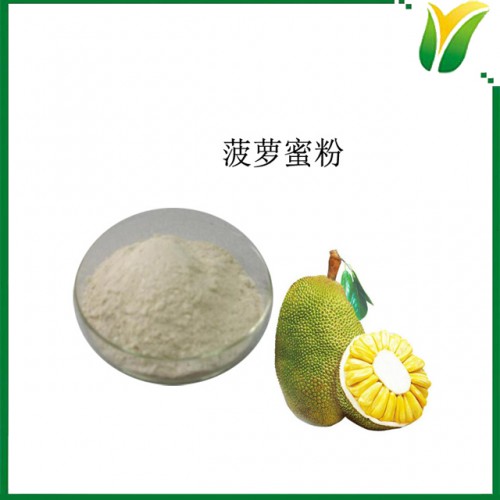 菠萝蜜粉 菠萝蜜果粉 波罗蜜水溶粉