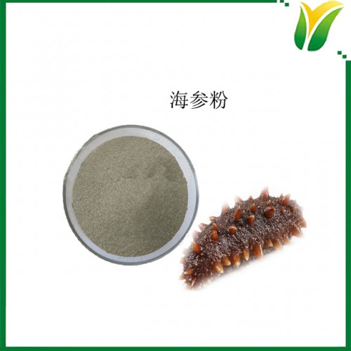 海参粉 Sea Cucumber Powder 海参生粉