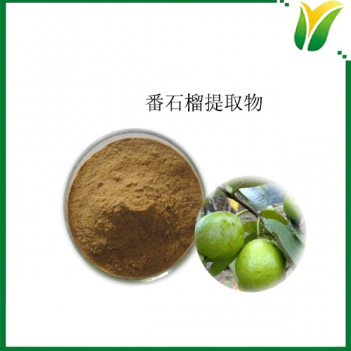 番石榴提取物5：1 植物提取物