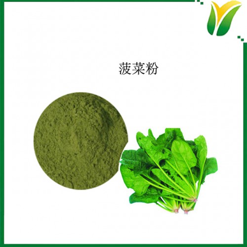 菠菜粉 菠菜蔬菜粉 红根菜粉水溶