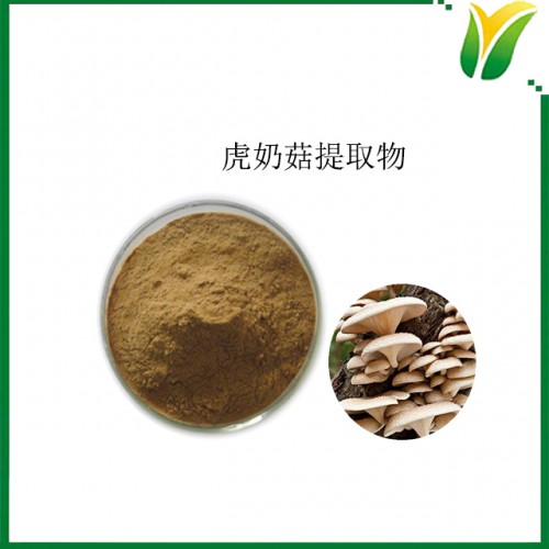 虎奶菇提取物10：1 菌核侧耳提取物