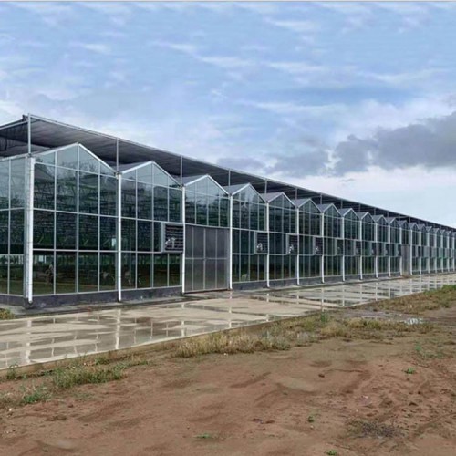 西藏玻璃温室造价成本 连栋玻璃温室厂家 花卉温室建造商