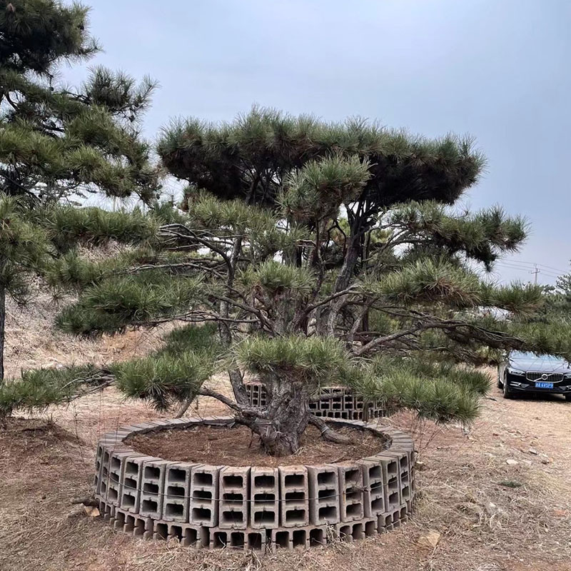 Summer beach concept