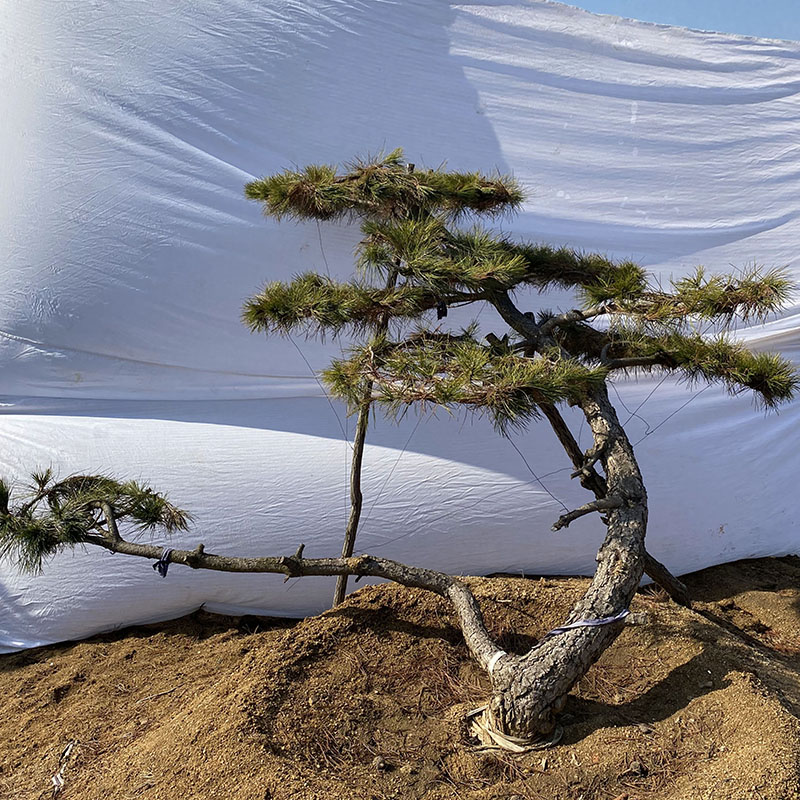 Summer beach concept