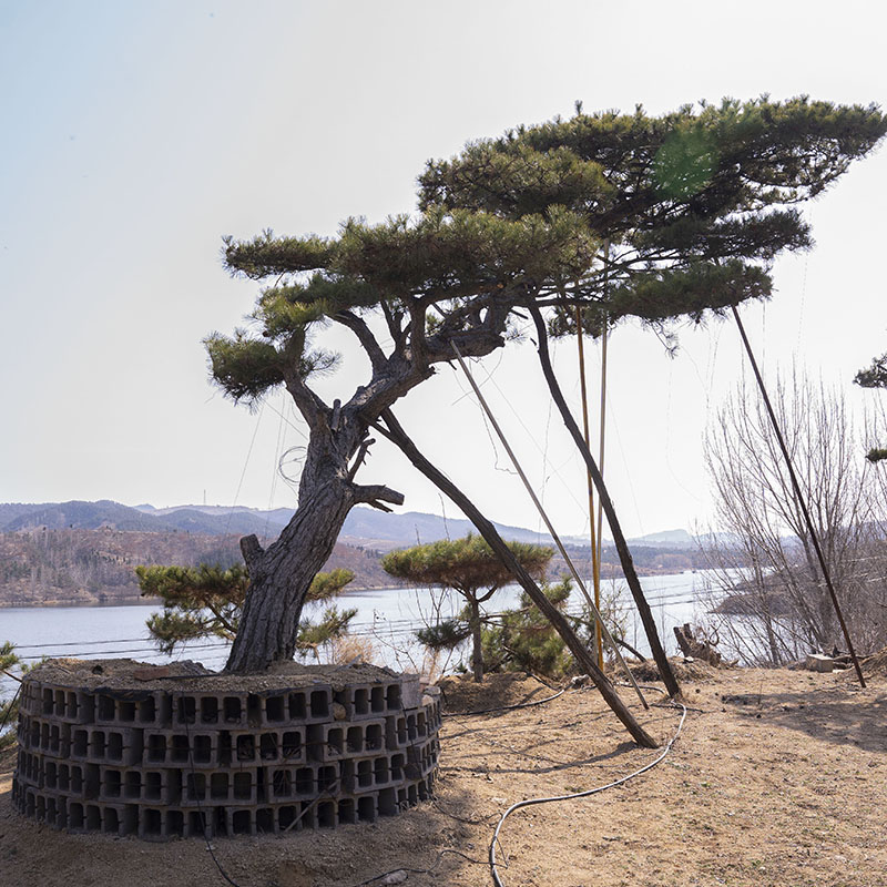 Summer beach concept