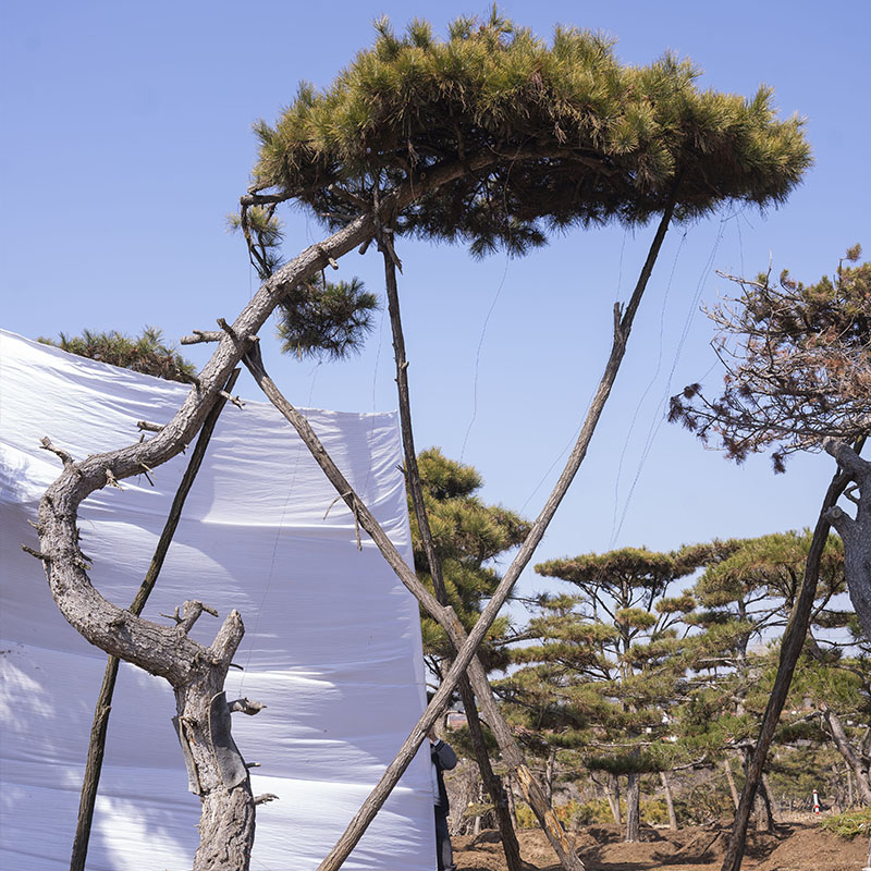 Summer beach concept