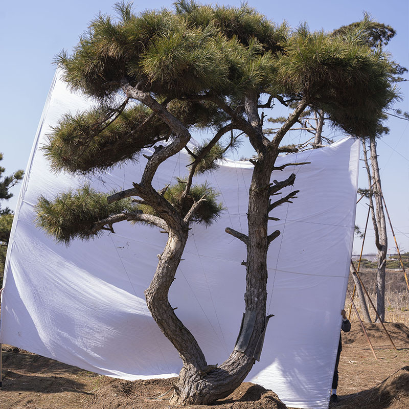 Summer beach concept