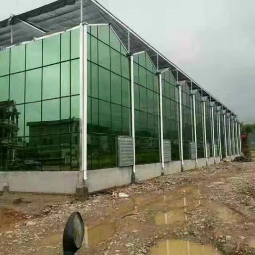 建造各类温室大棚工程 温室大棚的原理 温室大棚骨架设计厂家