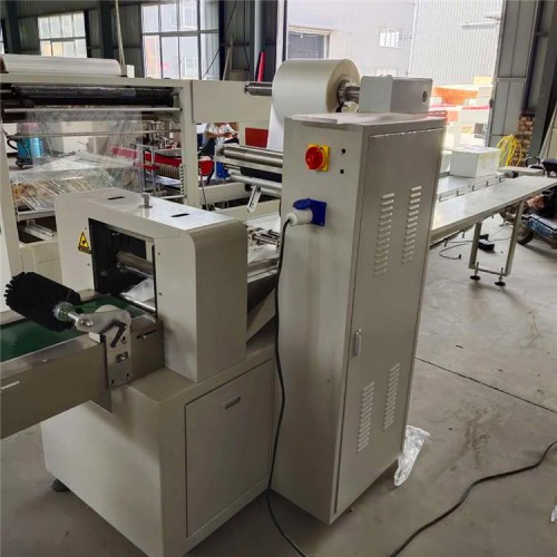 保鲜剂月饼枕式包装机 全自动托盒月饼包装设备