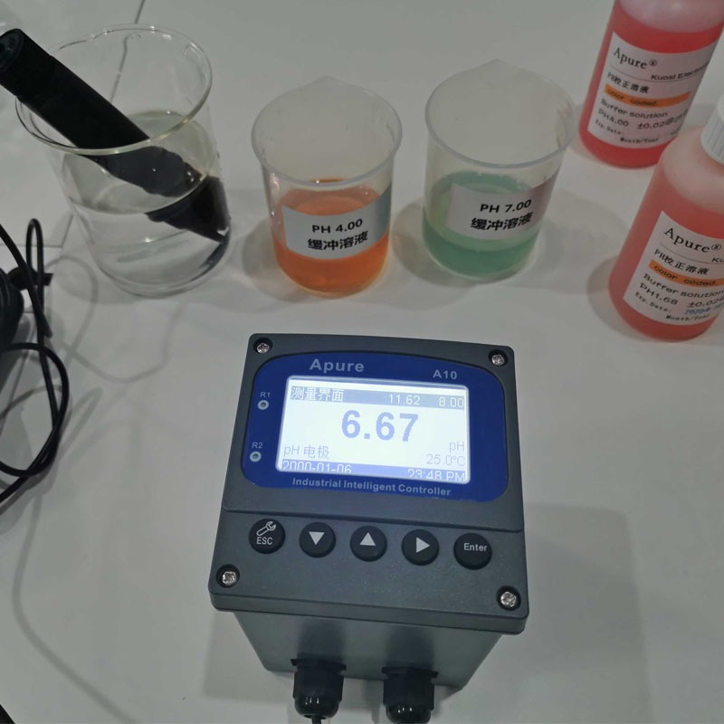 Summer beach concept