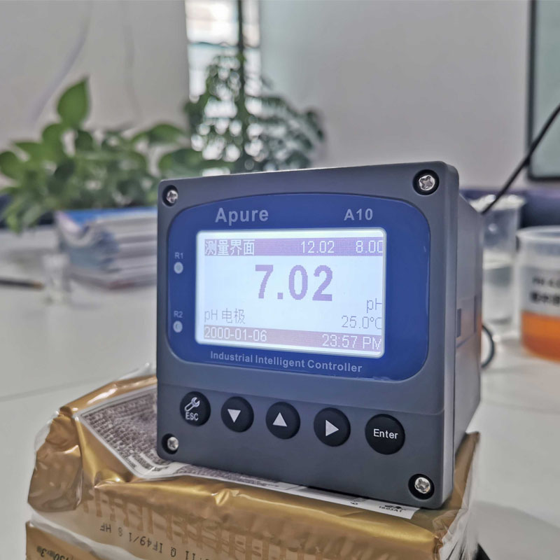 Summer beach concept