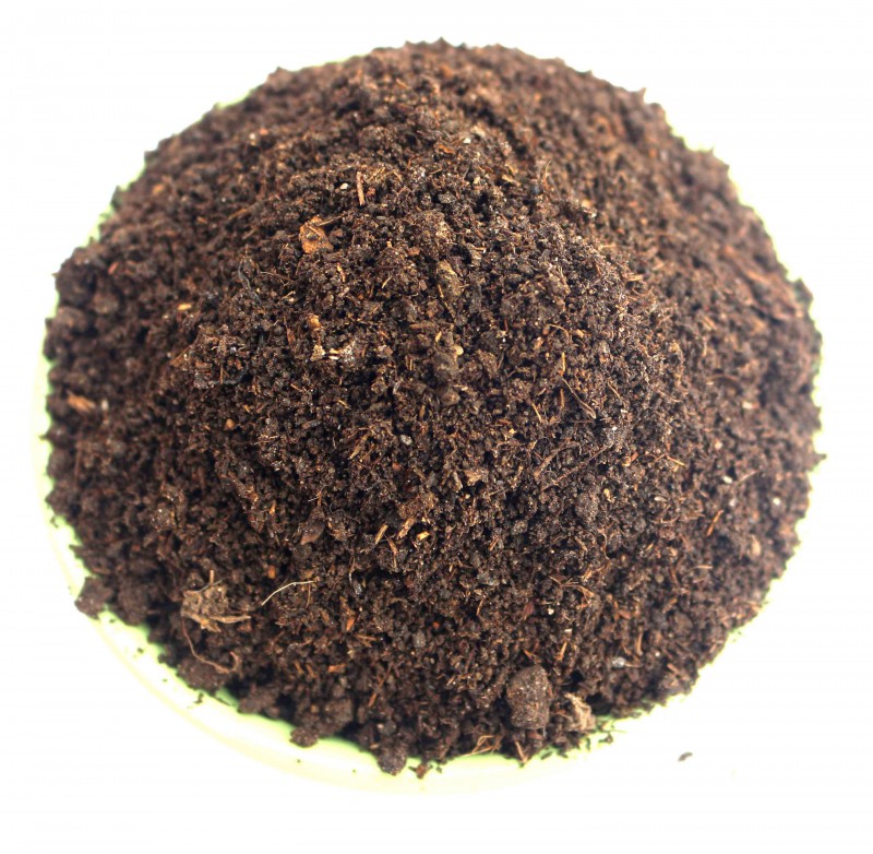 Summer beach concept