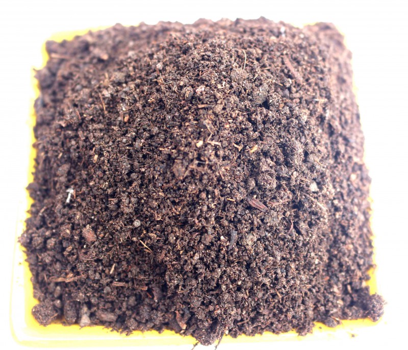 Summer beach concept