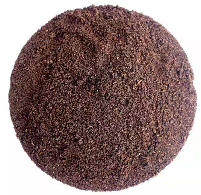 Summer beach concept