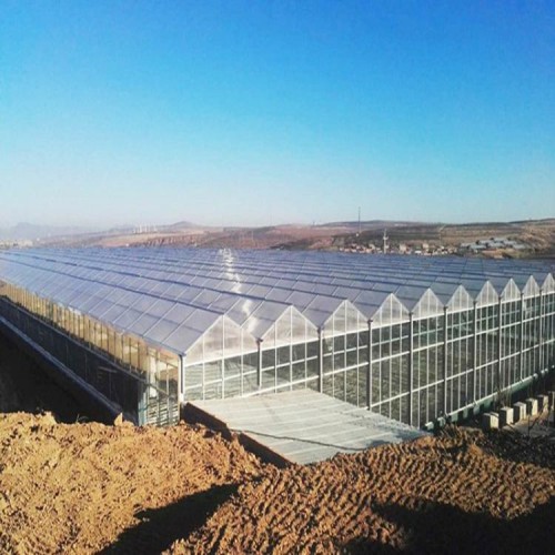 国聚温室 现货供应 阳光板温室大棚 阳光板温室的优点