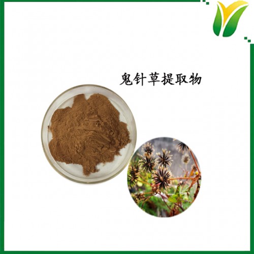 植物提取物 鬼针草提取物5：1鬼钗草提取物