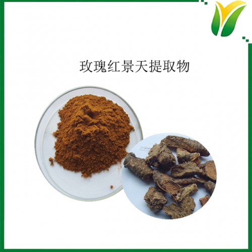 玫瑰红景天提取物 总洛赛维3% 红景天甙1%