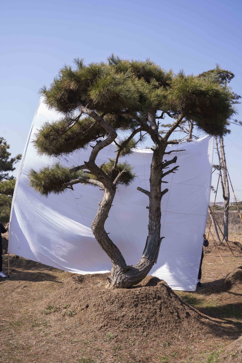 Summer beach concept