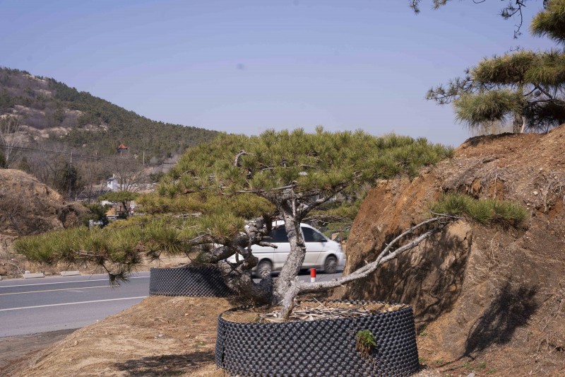 Summer beach concept