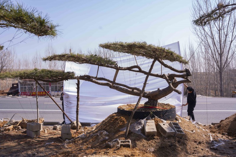 Summer beach concept