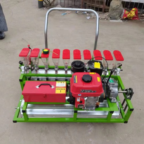 蔬菜播种机 小型蔬菜精播机