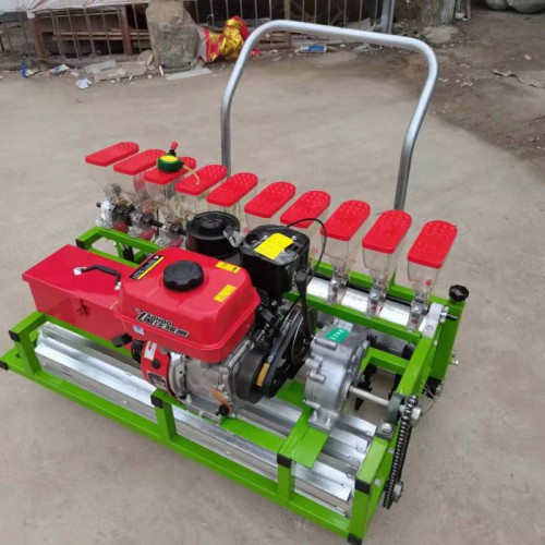 蔬菜播种机 小型蔬菜精播机厂家