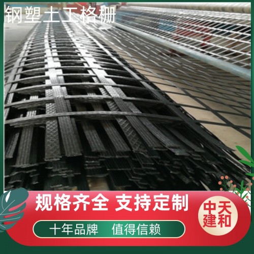 土工格栅  钢塑土工格栅