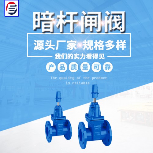 锁闭式闸阀 暗杆闸阀 伸缩弹性座闸阀