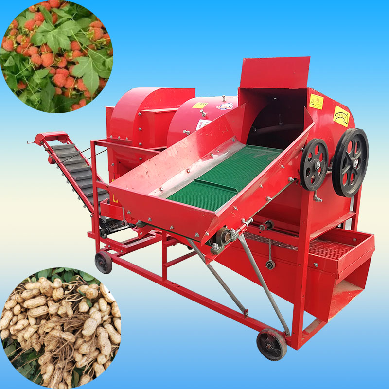 Summer beach concept