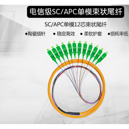 多模12芯束状尾纤