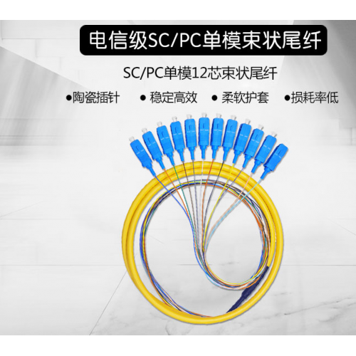 SC12芯束状尾纤