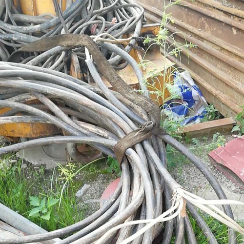 云埔废品回收  黄埔废钢铁回收 广州废电缆线回收价格高